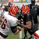 Illustration for article titled What To Expect From Hard Knocks: Cincinnati Bengals